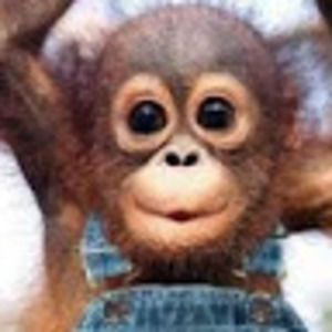 Meet your Posher, Sophie